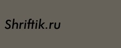 Futura Medium Italic BT 